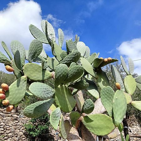 Villa Le Drupe Chiavari Esterno foto